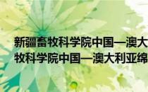 新疆畜牧科学院中国—澳大利亚绵羊研究中心(对于新疆畜牧科学院中国—澳大利亚绵羊研究中心简单介绍)