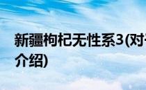 新疆枸杞无性系3(对于新疆枸杞无性系3简单介绍)