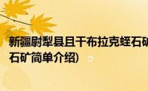 新疆尉犁县且干布拉克蛭石矿(对于新疆尉犁县且干布拉克蛭石矿简单介绍)