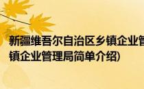 新疆维吾尔自治区乡镇企业管理局(对于新疆维吾尔自治区乡镇企业管理局简单介绍)
