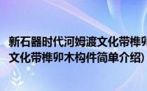 新石器时代河姆渡文化带榫卯木构件(对于新石器时代河姆渡文化带榫卯木构件简单介绍)