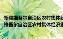 新疆维吾尔自治区农村集体经济组织资产管理条例(对于新疆维吾尔自治区农村集体经济组织资产管理条例简单介绍)