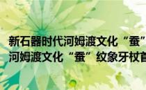 新石器时代河姆渡文化“蚕”纹象牙杖首饰(对于新石器时代河姆渡文化“蚕”纹象牙杖首饰简单介绍)