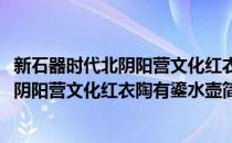 新石器时代北阴阳营文化红衣陶有鎏水壶(对于新石器时代北阴阳营文化红衣陶有鎏水壶简单介绍)