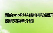 新的snoRNA结构与功能研究(对于新的snoRNA结构与功能研究简单介绍)