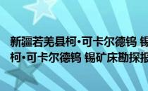 新疆若羌县柯·可卡尔德钨 锡矿床勘探报告(对于新疆若羌县柯·可卡尔德钨 锡矿床勘探报告简单介绍)