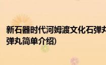 新石器时代河姆渡文化石弹丸(对于新石器时代河姆渡文化石弹丸简单介绍)