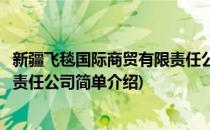 新疆飞毯国际商贸有限责任公司(对于新疆飞毯国际商贸有限责任公司简单介绍)
