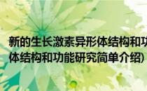 新的生长激素异形体结构和功能研究(对于新的生长激素异形体结构和功能研究简单介绍)