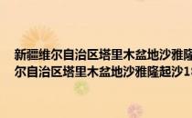 新疆维尔自治区塔里木盆地沙雅隆起沙18井完井地质报告(对于新疆维尔自治区塔里木盆地沙雅隆起沙18井完井地质报告简单介绍)