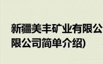 新疆美丰矿业有限公司(对于新疆美丰矿业有限公司简单介绍)