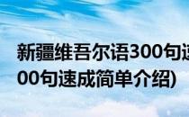 新疆维吾尔语300句速成(对于新疆维吾尔语300句速成简单介绍)