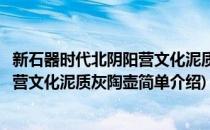新石器时代北阴阳营文化泥质灰陶壶(对于新石器时代北阴阳营文化泥质灰陶壶简单介绍)