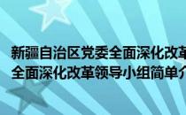 新疆自治区党委全面深化改革领导小组(对于新疆自治区党委全面深化改革领导小组简单介绍)