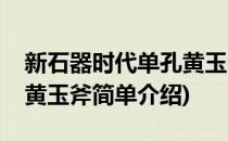 新石器时代单孔黄玉斧(对于新石器时代单孔黄玉斧简单介绍)