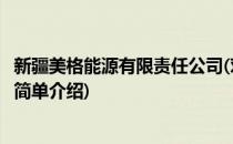 新疆美格能源有限责任公司(对于新疆美格能源有限责任公司简单介绍)