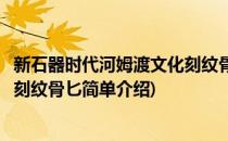 新石器时代河姆渡文化刻纹骨匕(对于新石器时代河姆渡文化刻纹骨匕简单介绍)