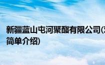 新疆蓝山屯河聚酯有限公司(对于新疆蓝山屯河聚酯有限公司简单介绍)