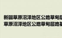 新疆草原沼泽地区公路草甸层路基的力学特征研究(对于新疆草原沼泽地区公路草甸层路基的力学特征研究简单介绍)