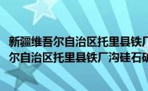 新疆维吾尔自治区托里县铁厂沟硅石矿床详探(对于新疆维吾尔自治区托里县铁厂沟硅石矿床详探简单介绍)