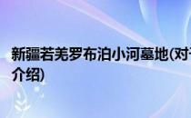 新疆若羌罗布泊小河墓地(对于新疆若羌罗布泊小河墓地简单介绍)