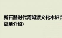 新石器时代河姆渡文化木桩(对于新石器时代河姆渡文化木桩简单介绍)