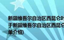 新疆维吾尔自治区西昆仑叶尔羌河上游1:50万区域化探(对于新疆维吾尔自治区西昆仑叶尔羌河上游1:50万区域化探简单介绍)