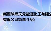新疆陕煤天元能源化工有限公司(对于新疆陕煤天元能源化工有限公司简单介绍)