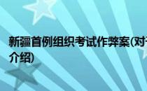 新疆首例组织考试作弊案(对于新疆首例组织考试作弊案简单介绍)