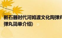 新石器时代河姆渡文化陶弹丸(对于新石器时代河姆渡文化陶弹丸简单介绍)