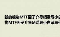 新的植物MTF因子介导硒诱导小白菜氧化损伤的分子机理(对于新的植物MTF因子介导硒诱导小白菜氧化损伤的分子机理简单介绍)