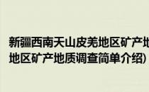 新疆西南天山皮羌地区矿产地质调查(对于新疆西南天山皮羌地区矿产地质调查简单介绍)