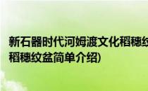 新石器时代河姆渡文化稻穗纹盆(对于新石器时代河姆渡文化稻穗纹盆简单介绍)