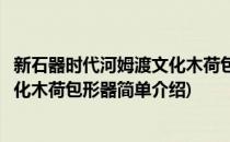 新石器时代河姆渡文化木荷包形器(对于新石器时代河姆渡文化木荷包形器简单介绍)
