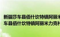 新疆莎车县佰什坎特镇阿丽米力克村志愿服务队(对于新疆莎车县佰什坎特镇阿丽米力克村志愿服务队简单介绍)