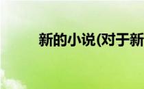 新的小说(对于新的小说简单介绍)