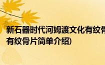 新石器时代河姆渡文化有纹骨片(对于新石器时代河姆渡文化有纹骨片简单介绍)