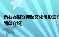 新石器时期仰韶文化龟形壶(对于新石器时期仰韶文化龟形壶简单介绍)