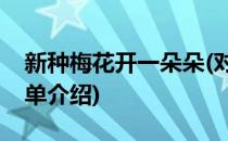 新种梅花开一朵朵(对于新种梅花开一朵朵简单介绍)