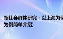 新社会群体研究：以上海为例(对于新社会群体研究：以上海为例简单介绍)