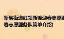 新碶街道红领新锋迎春志愿服务队(对于新碶街道红领新锋迎春志愿服务队简单介绍)