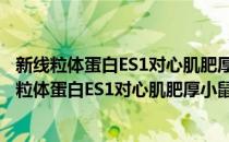 新线粒体蛋白ES1对心肌肥厚小鼠保护作用的研究(对于新线粒体蛋白ES1对心肌肥厚小鼠保护作用的研究简单介绍)