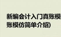 新编会计入门真账模仿(对于新编会计入门真账模仿简单介绍)