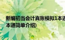新编初当会计真账模拟1本通(对于新编初当会计真账模拟1本通简单介绍)