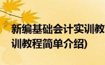 新编基础会计实训教程(对于新编基础会计实训教程简单介绍)