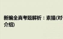 新编全真考题解析：素描(对于新编全真考题解析：素描简单介绍)