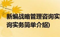 新编战略管理咨询实务(对于新编战略管理咨询实务简单介绍)