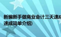 新编新手做商业会计三天速成(对于新编新手做商业会计三天速成简单介绍)