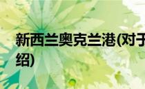 新西兰奥克兰港(对于新西兰奥克兰港简单介绍)