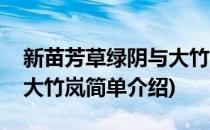 新苗芳草绿阴与大竹岚(对于新苗芳草绿阴与大竹岚简单介绍)